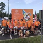 Dogtopia of The Woodlands North - photo 6