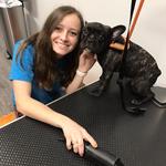 Dogtopia of The Woodlands North - photo 10