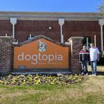 Dogtopia of The Shire at CityLine - photo 1