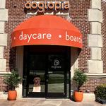 Dogtopia of The Shire at CityLine - photo 6