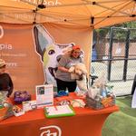 Dogtopia of The Shire at CityLine - photo 7