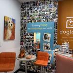 Dogtopia of The Shire at CityLine - photo 9