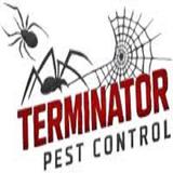 Terminator Pest Control - Pest Control in Cambria