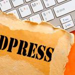 Saboor Developer - photo 1