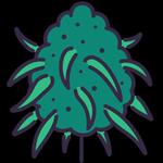 Day Time Highs Dispensary - photo 1