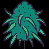 Day Time Highs Dispensary - Health Insurance Offices in Lancaster