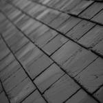 Rosenberry's Limited - photo 5