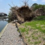 Aguilar Lawn and Landscape - photo 2