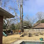 Aguilar Lawn and Landscape - photo 4