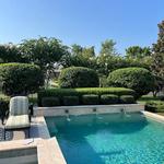 Aguilar Lawn and Landscape - photo 5