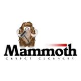 Mammoth  Cleaners - Home Cleaning in Edmonds