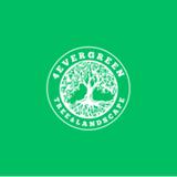 4 Ever Green tree and Landscape