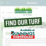 Carabooda Lawns - Lawn Services in Carabooda