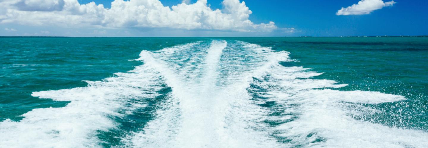 iiCAPTAIN cover photo