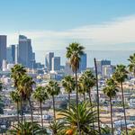 Law Offices of Steers & Associates - photo 4