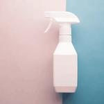 Food Safety Guru - photo 1