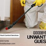 London Blitz Clean Ltd Essex - photo 2