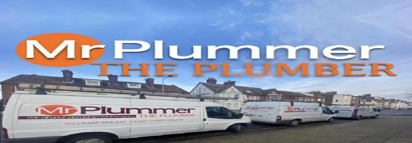 Mr Plummer The Plumber cover photo