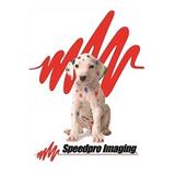 SpeedPro Halifax - Sign making in Lakeside