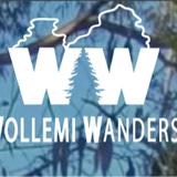 Wollemi Wanders - Tours in Mount Wilson