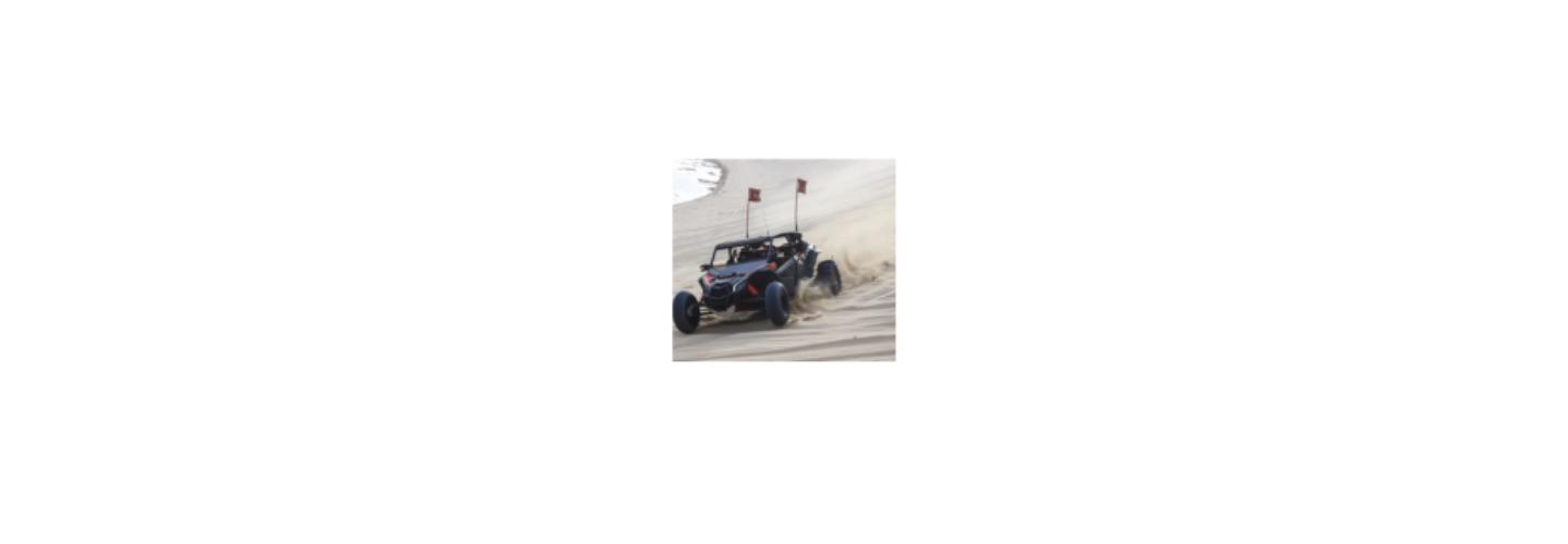 ESA Tours Dune Buggy Dubai cover photo