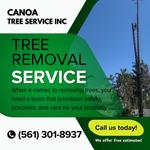 Canoa Tree Service inc - photo 1