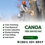 Canoa Tree Service inc - photo 2