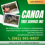 Canoa Tree Service inc - photo 3