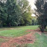 Jefferson land clearing and excavation - photo 1