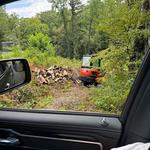 Jefferson land clearing and excavation - photo 2