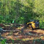 Jefferson land clearing and excavation - photo 4
