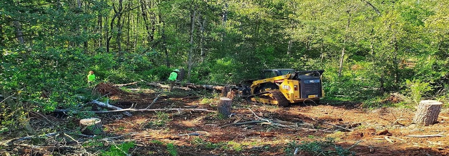 Jefferson land clearing and excavation cover photo