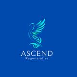 Ascend Regenerative - Medical Spas in Denville