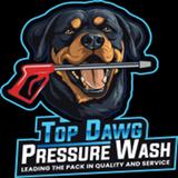 Top Dawg Pressure Wash - Home Services in Langley Township