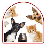 Florida Pet ESA - photo 1