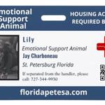Florida Pet ESA - photo 2