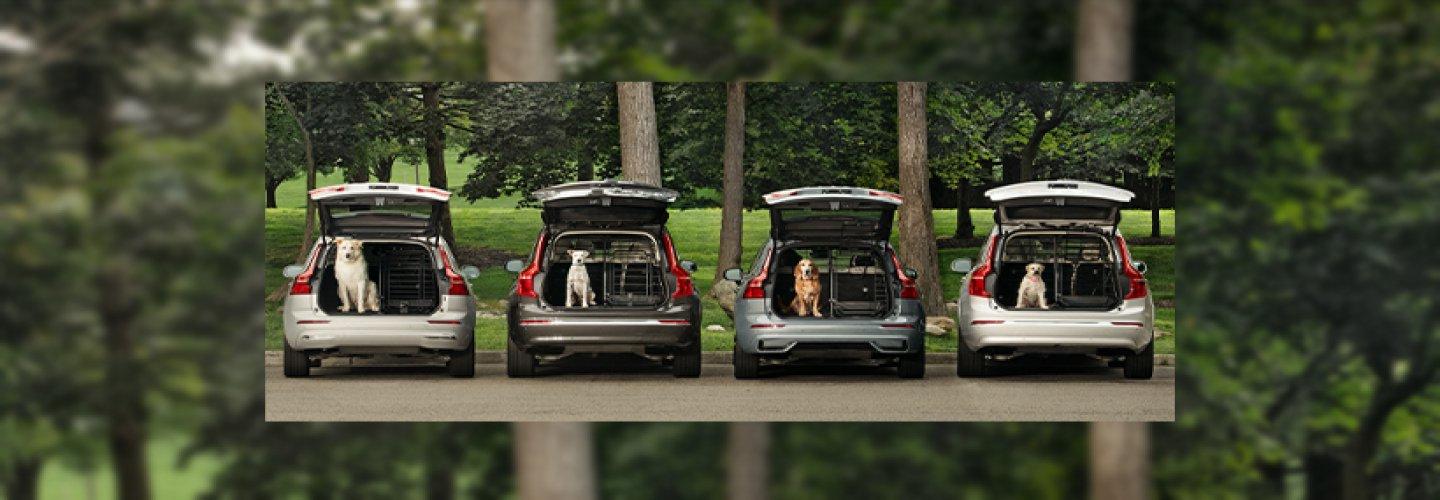 Gengras Volvo Cars North Haven