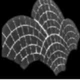 Deck-O-Art - Decks, Patios & Railings in McKinney