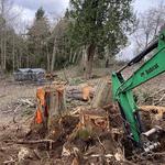 Franky's Port Orchard Excavation - photo 8