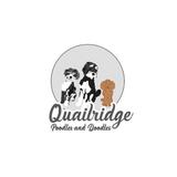 Quailridge Poodles & Doodles - Pets in La Plata