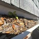 Big Bend Gutters - photo 6