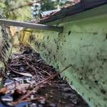 Big Bend Gutters - photo 9