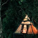 Bookmykeralatrip - photo 1