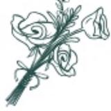  Sincere Flowers - Flowers & Gifts in Riverside