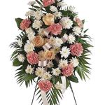  Sincere Flowers - photo 3