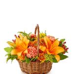  Sincere Flowers - photo 6