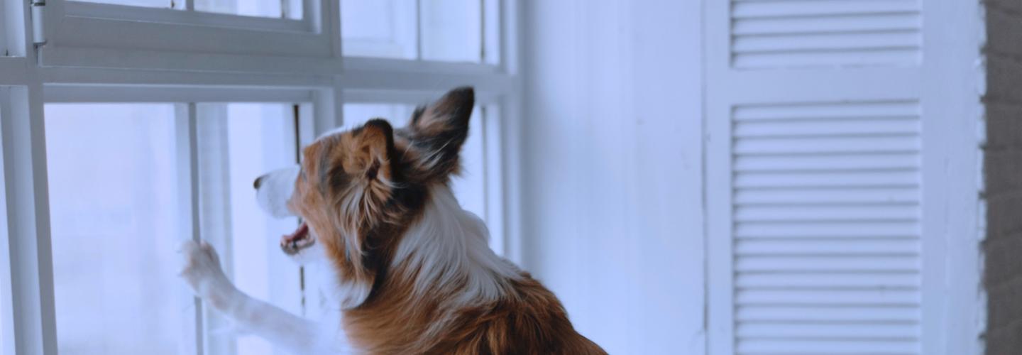 Crystal Glass & Glazing cover photo