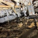 Capps Crawlspace Company, L.L.C. - photo 2