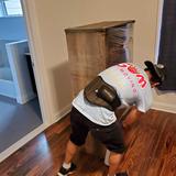 Gom Moving - Movers & Removals in Palisades Park