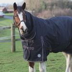 Autumnn Equestrian - photo 1